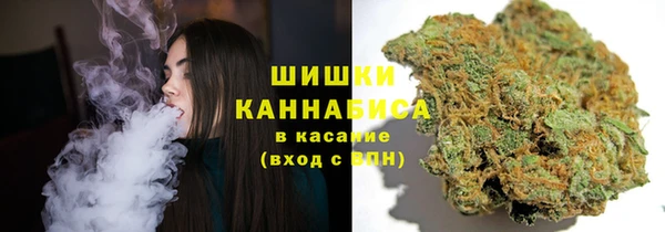 прущие грибы Киреевск