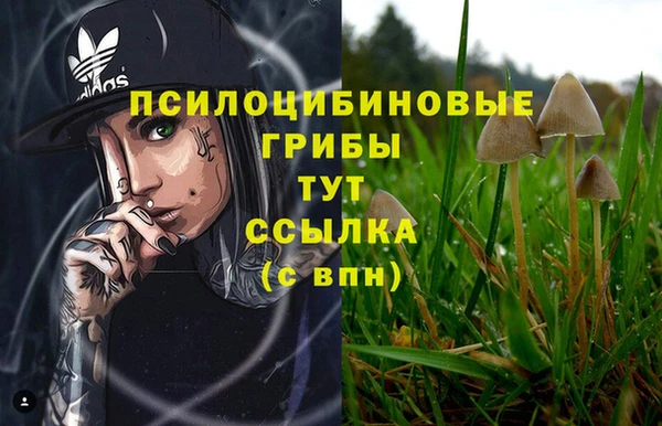 винт Киренск