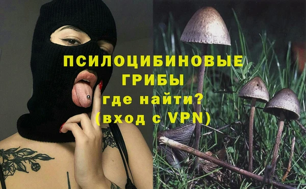 кокс Карпинск