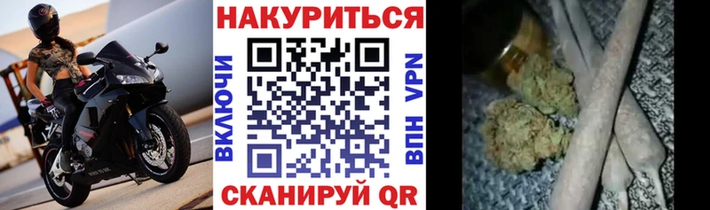 Конопля гибрид  наркошоп  Шилка 